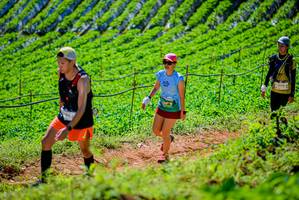 BIB: 
                            <button type="button" onclick="openModal(19163490)" class="btn btn-primary btn-sm float-right btn-popup" data-toggle="modal" data-target=".modal-high-quality">
                        <i class="fas fa-shopping-cart"></i> Add to Cart
                    </button>
                                            <button type="button" onclick="isThisMe(19163490, true)" class="btn btn-success btn-sm float-right btn-popup btn-isme hidden" data-toggle="tooltip" data-placement="bottom" title="นี่คือรูปของคุณใช่ไหม คลิกที่นี่เพื่อเอาเข้าอัลบั้ม">
                        <i class="fas fa-plus"></i> Add to album
                    </button>
                    <button type="button" onclick="isThisMe(19163490, false)" class="btn btn-warning btn-sm float-right btn-popup btn-isnotme hidden">
                        <i class="fas fa-ban"></i> Remove from album
                    </button>